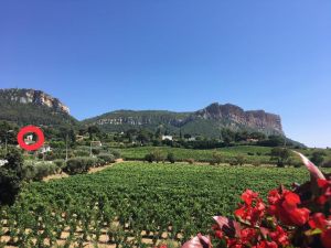 Le Coteau de Cassis