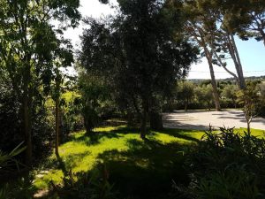 HPC Suites