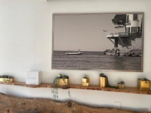 Hotel de La Plage – Mahogany